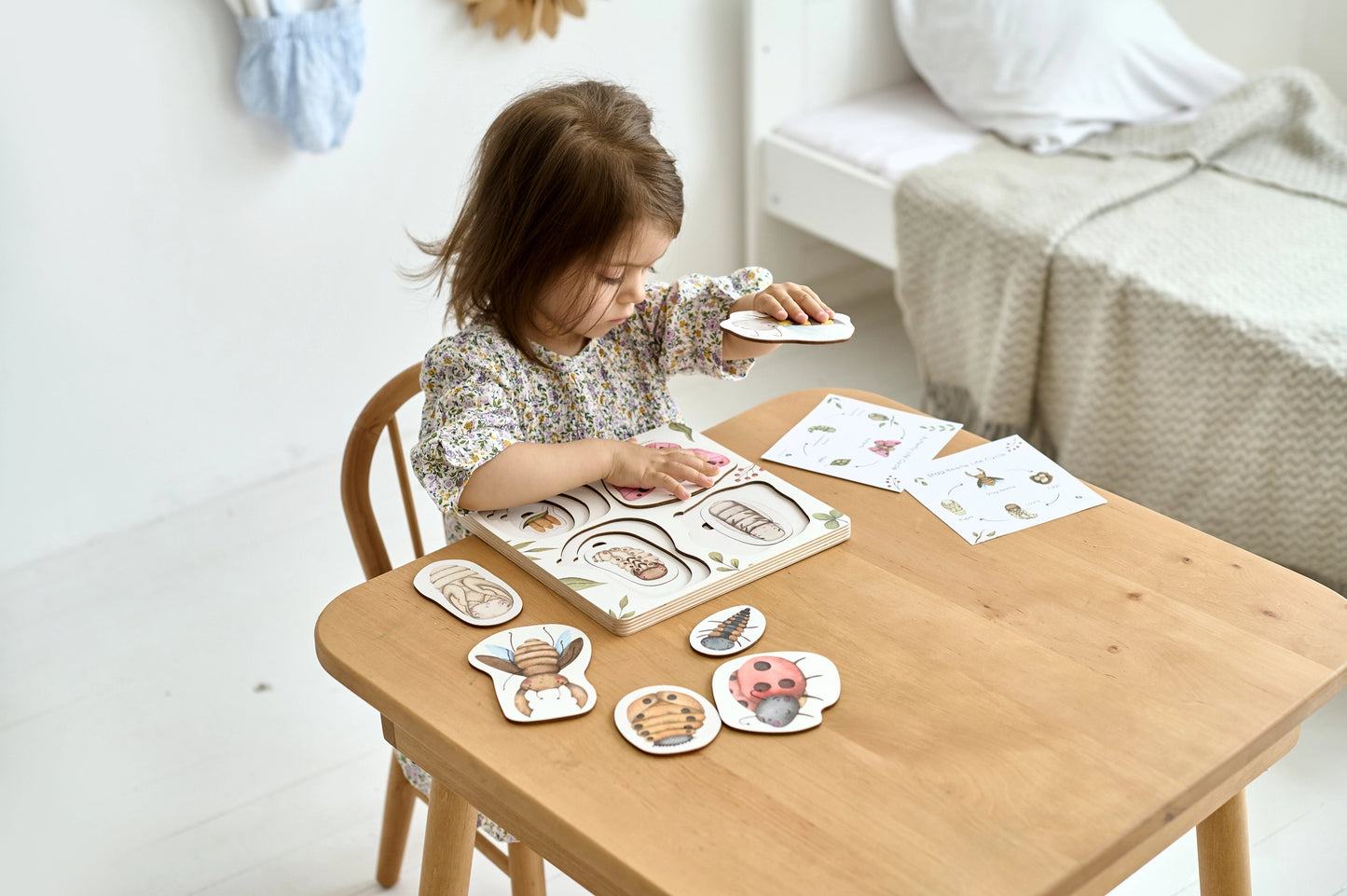 Edukacinė medinė Montessori dėlionė „Vabzdžių gyvenimo ciklas“