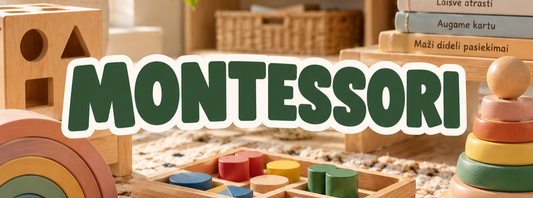 Montessori žaislai Lietuvoje: ką rinktis pagal amžių?