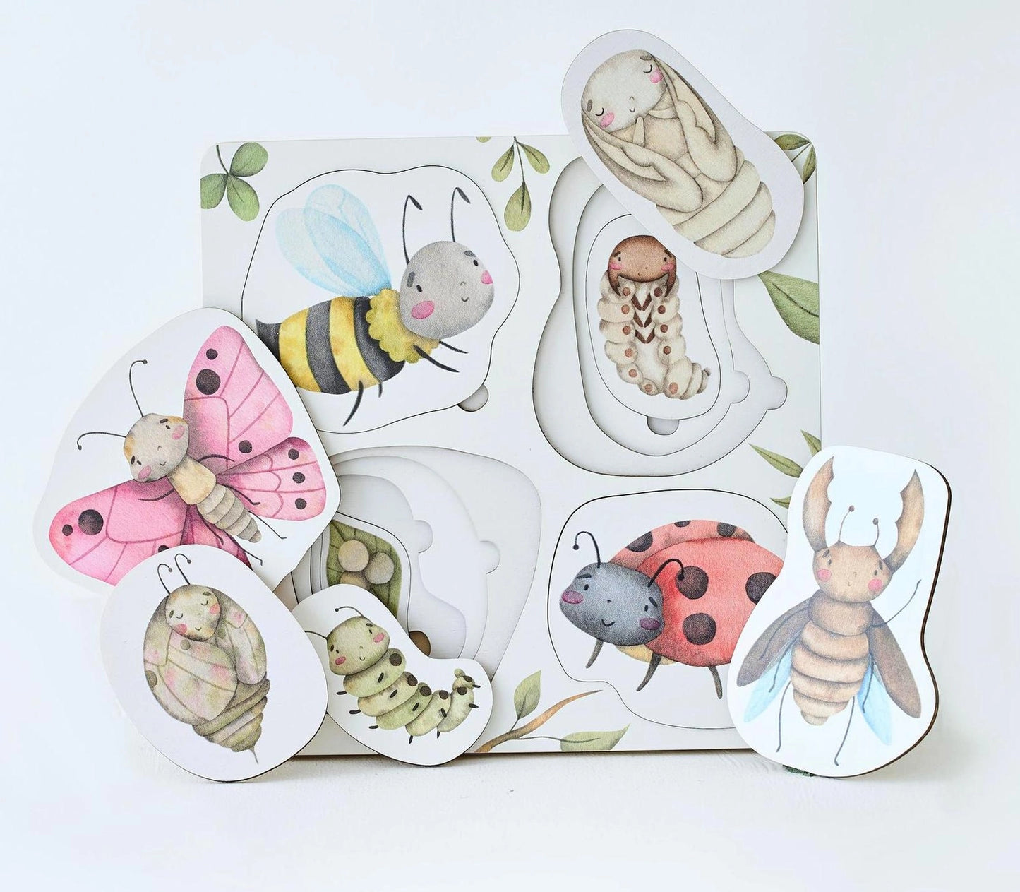 Edukacinė medinė Montessori dėlionė „Vabzdžių gyvenimo ciklas“